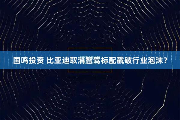 国鸣投资 比亚迪取消智驾标配戳破行业泡沫？