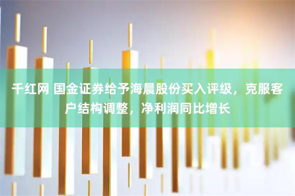 千红网 国金证券给予海晨股份买入评级，克服客户结构调整，净利润同比增长
