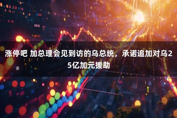 涨停吧 加总理会见到访的乌总统，承诺追加对乌25亿加元援助