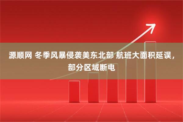 源顺网 冬季风暴侵袭美东北部 航班大面积延误，部分区域断电