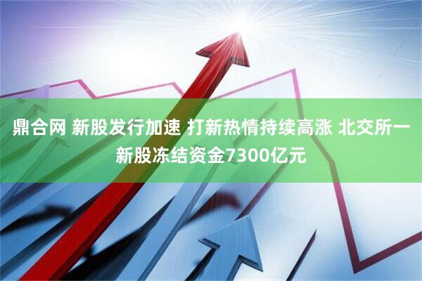 鼎合网 新股发行加速 打新热情持续高涨 北交所一新股冻结资金7300亿元